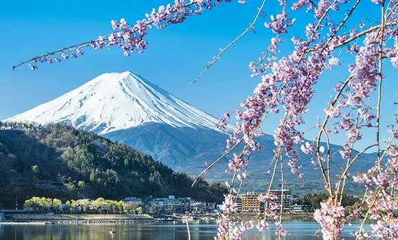 富士山の写真